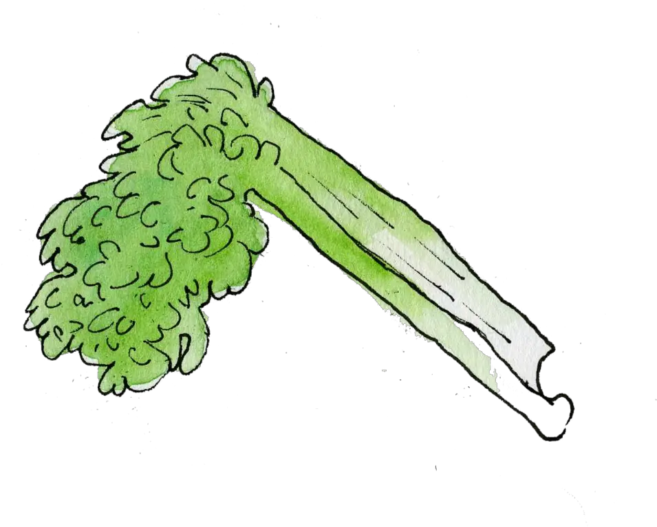 Food Illustration Narramoreart Png Celery