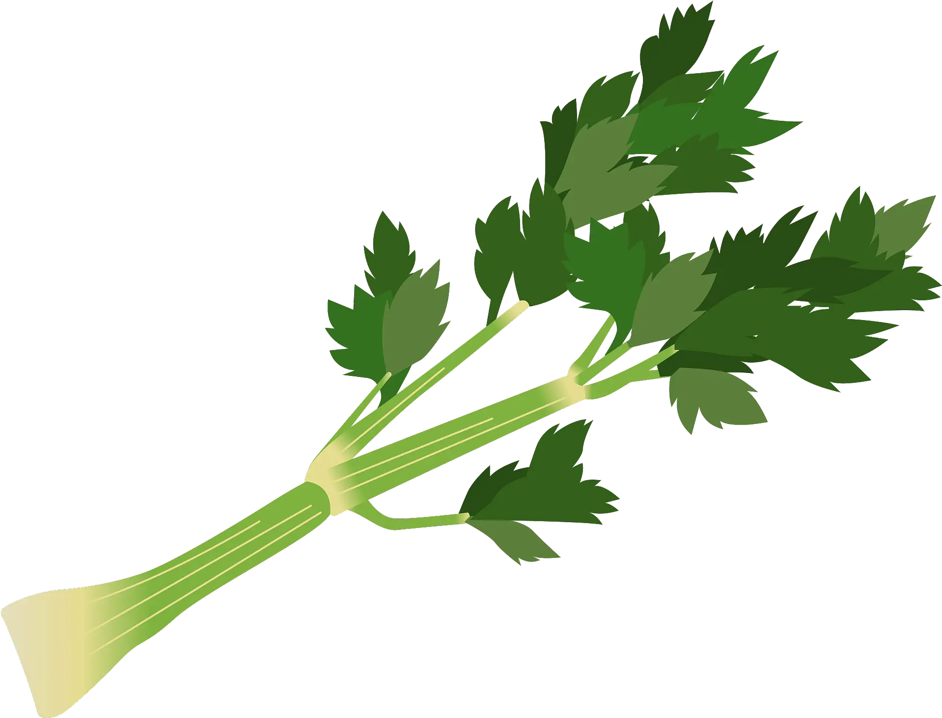 Celery Stalk Clipart Png