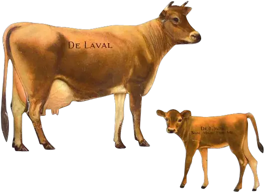 Animal Cowfreepngtransparentbackgroundimagesfree Cow And Calf Png Cow Transparent