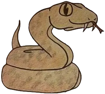 Home Piperspassport Serpent Png Cartoon Snake Png