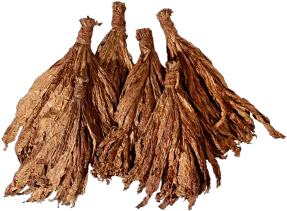 Landewyck Burley Tobacco Cognac Png Tobacco Png