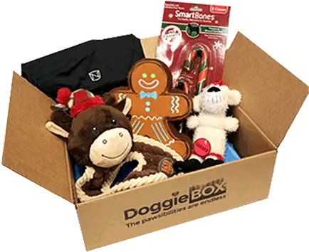 Doggie Box Cardboard Box Png Dog Toy Png