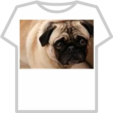 Sad Dog Roblox T Shirt Roblox Kawaii Png Sad Dog Png