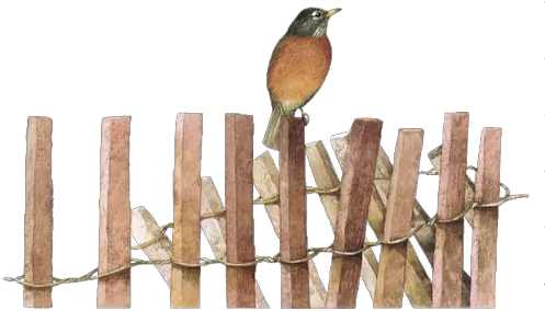 Clip Art Graphics Fence Post Png Robin Mask Png