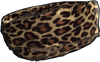 Leopard Top Stylish Png Leopard Icon