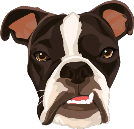 Cartoonize Your Dog Boston Terrier Png Dog Cartoon Png