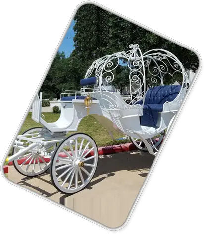 Horse Drawn Carriage Wedding Funerals Events Chaise Png Cinderella Carriage Png