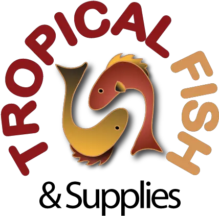 Tropical Fish Png