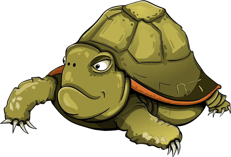 Tortoise Amphibious Tortila Free Vector Graphic On Pixabay Png Kaplumbaa Tortoise Png