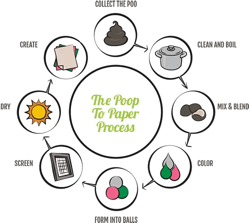 Poop To Paper The Poopoopaper Paper Making Process U2013 The Elephant Dung Paper Process Png Turd Icon