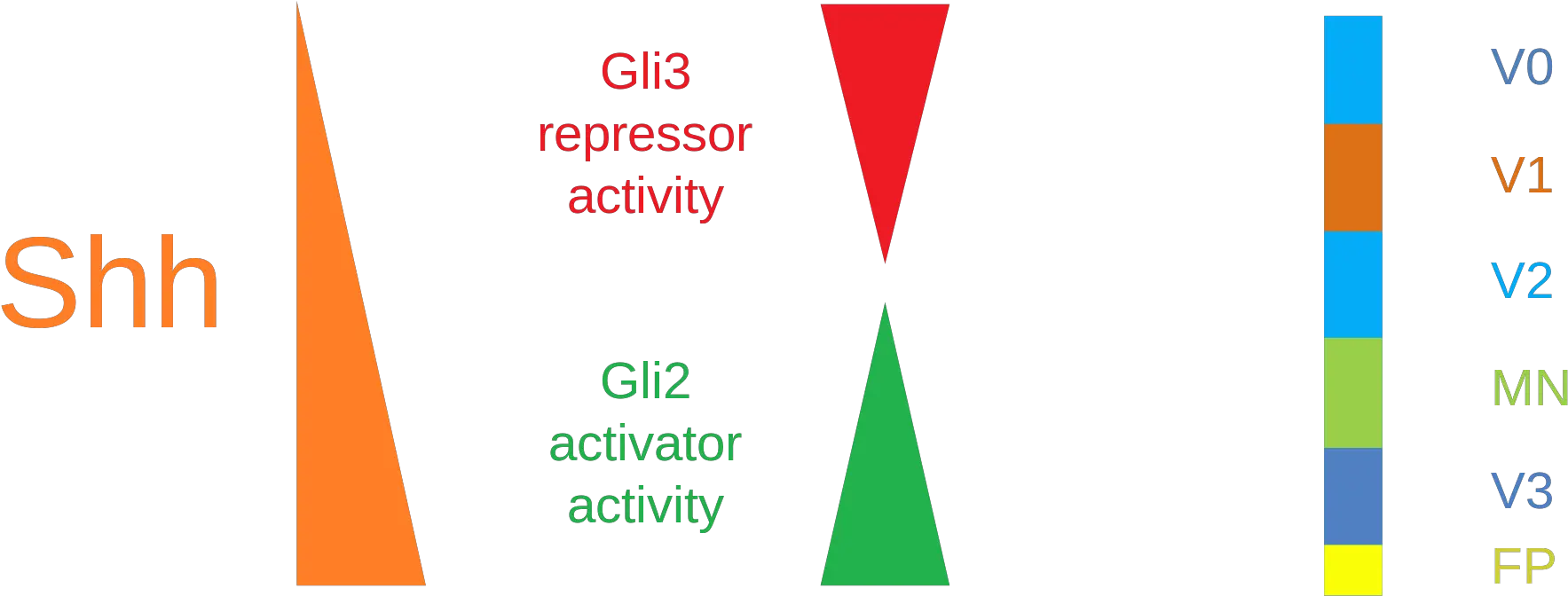 Download Open Graphic Design Png Shh Png