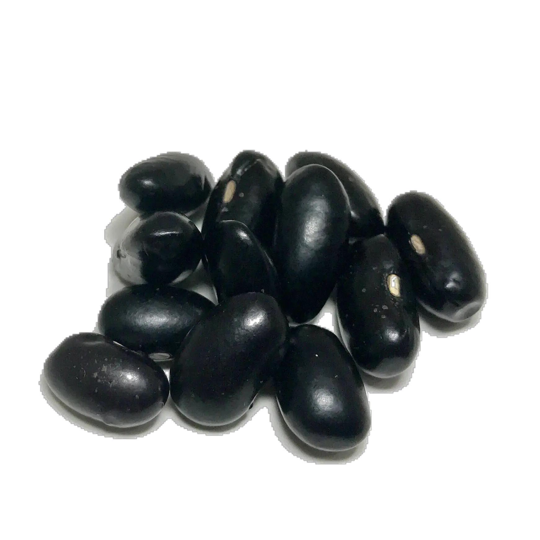 Download Shady Side Farm Black Bean Png Bean Png