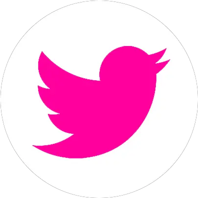 Download Hd Facebook Twitter Instagram Twitter Logo Pink Twitter Gif Png Pink Twiter Logos