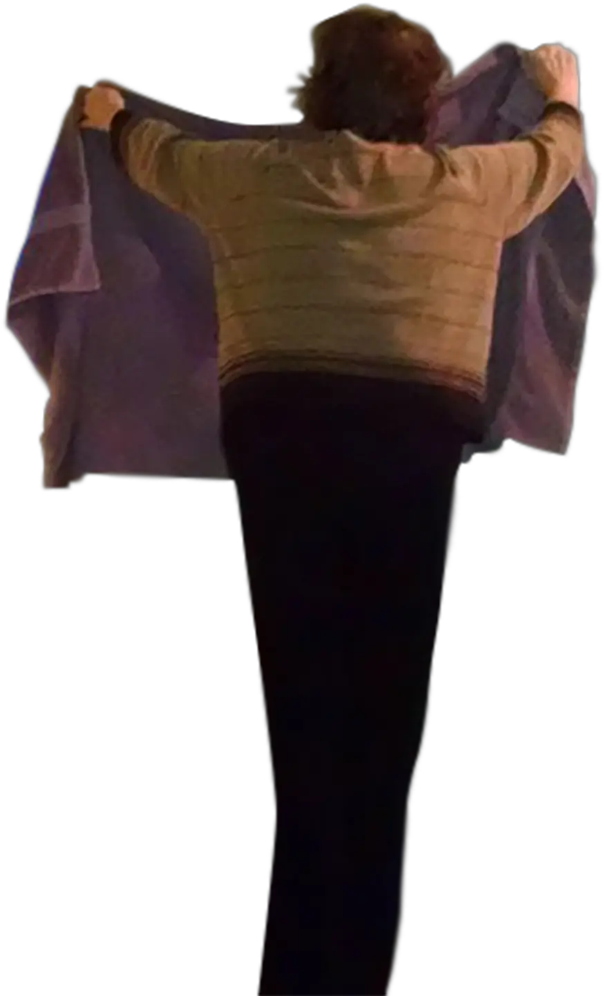 Download Personcensorship Mom Censor Lady Towel Meme Cover Woman With Towel Meme Png Censor Png