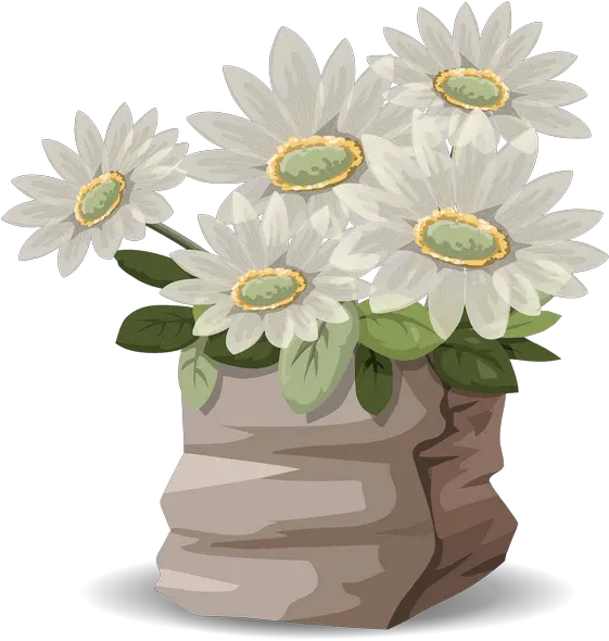 Flowers Daisies Bouquet White Transparent Png Images U2013 Free Png White Daisy Png
