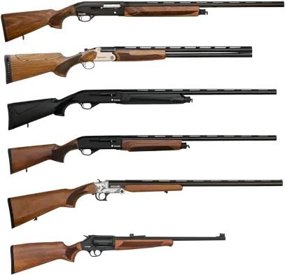 Shotgun Sample Sale Shotgun Sale Png Shotgun Transparent