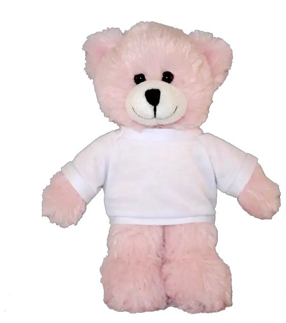 Pink Teddy Bear Transparent Png Image Pink Bear With Shirt Teddy Bear Transparent