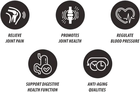 Platinum Joint Health Dot Png Joint Pain Icon