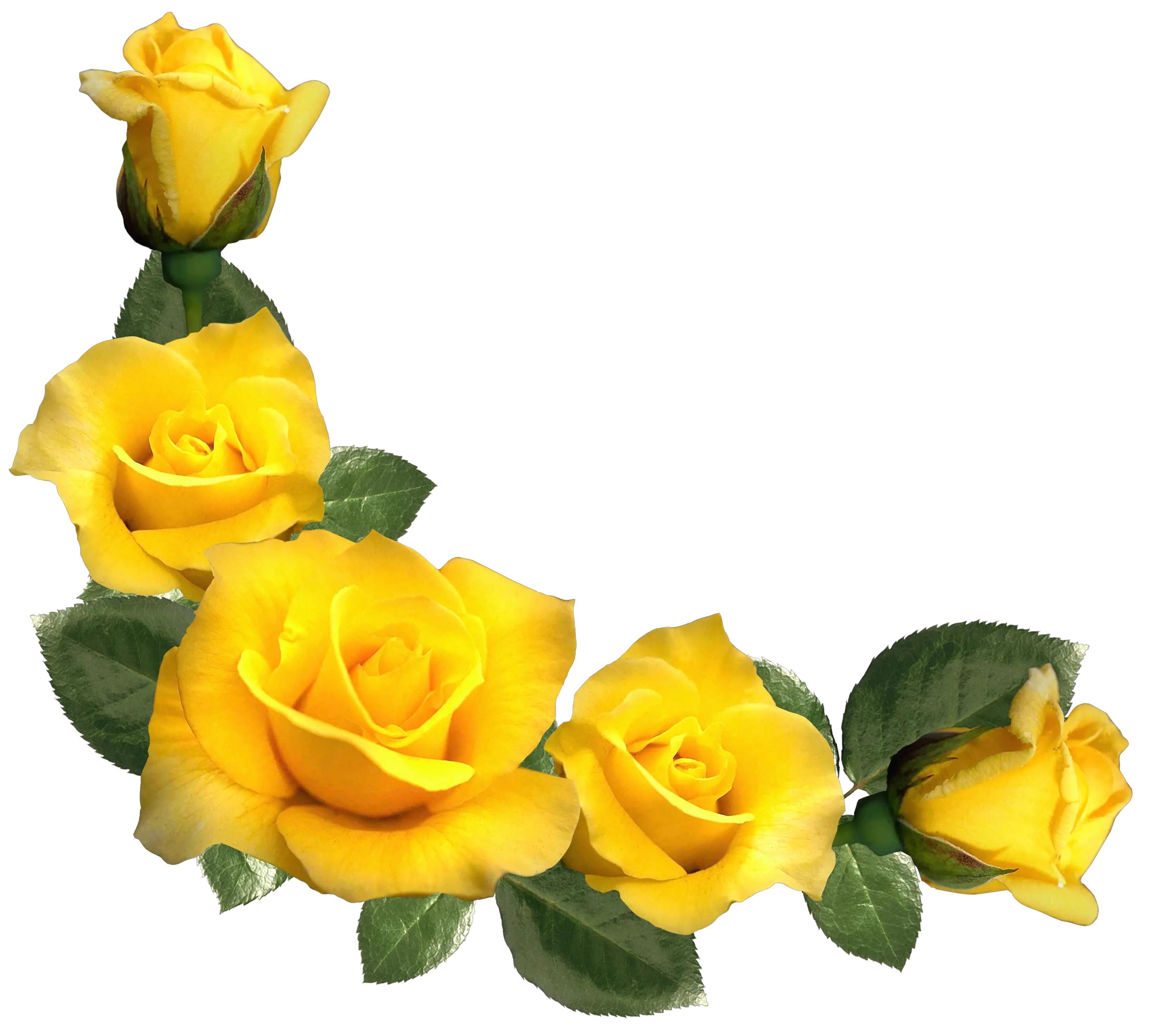 Decoration Clipart Yellow Yellow Roses Clip Art Png Decor Png