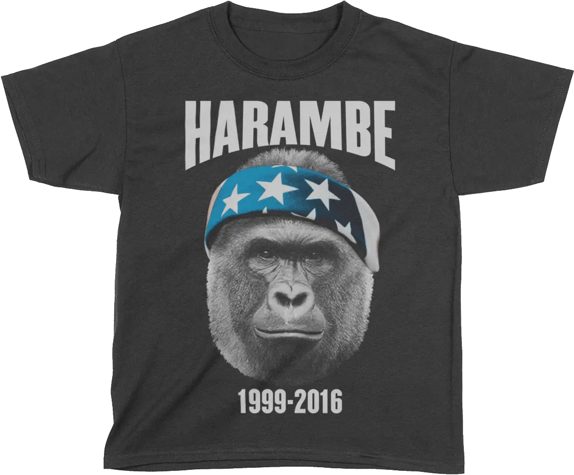 Harambe 1999 Killing Of Harambe Png Harambe Transparent