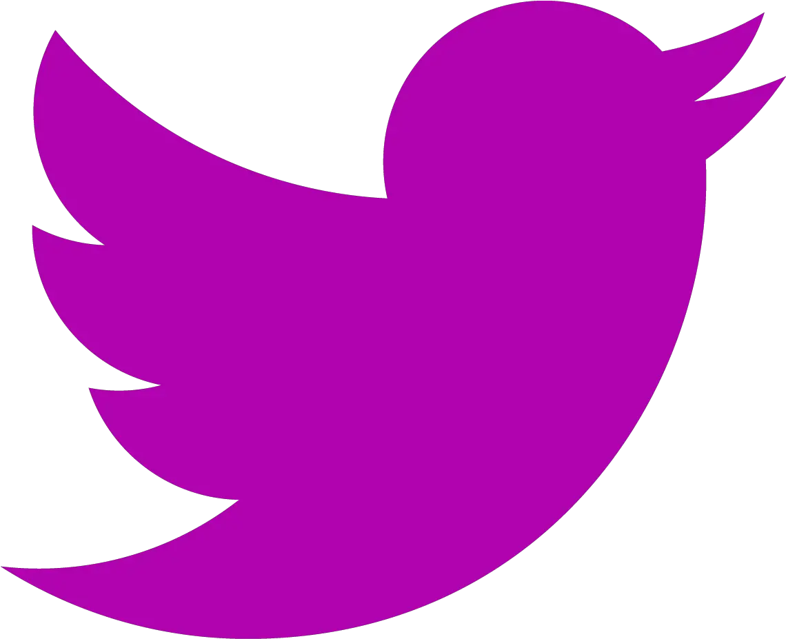 Png Twitter Icon 1600 Camversity Girls Twitter Logo Hd Twiter Logo Png