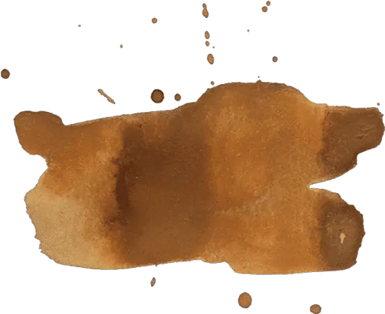 Free Flatworm Png Coffee Stain Png