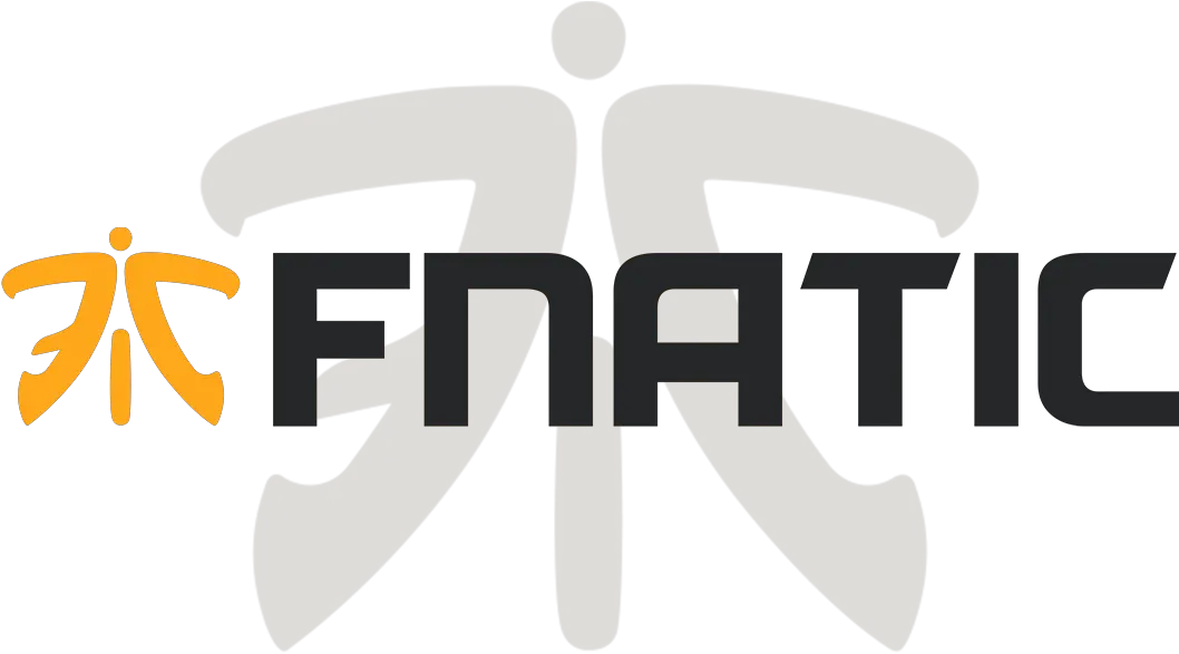 Fnatic Logo Png Image Fnatic Amd Logo Png