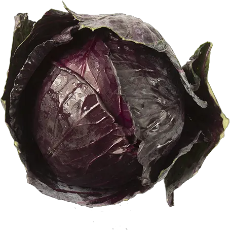 Produce Red Cabbage 1ea Red Cabbage Png Cabbage Transparent