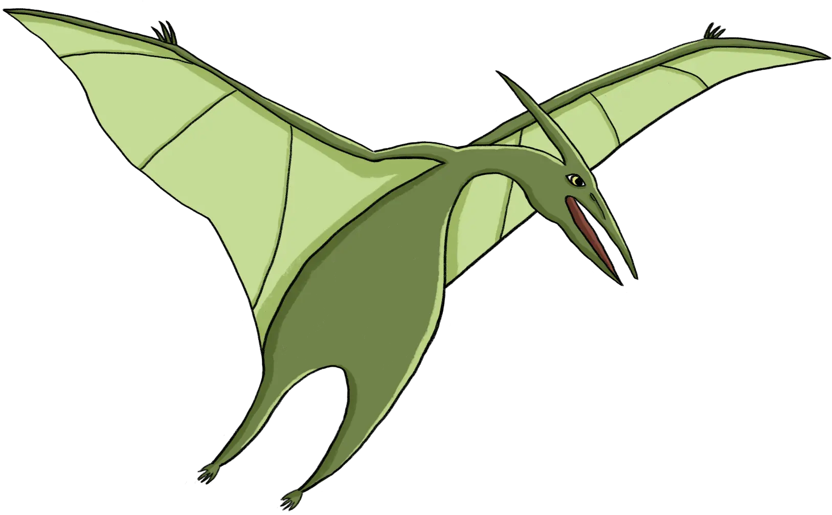 Download Hd Pterodactyl Jb Illustration Transparent Png Illustration Pterodactyl Png