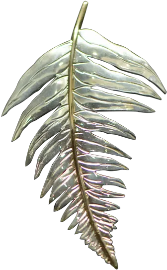 Original Fern Png Fern Leaf Png