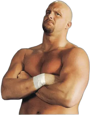 Stone Cold Steve Austin Stone Cold Steve Austin Body Png Stone Cold Steve Austin Png