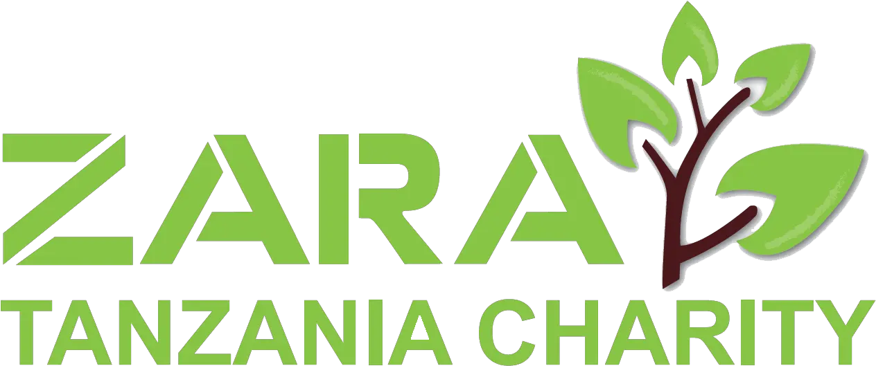 Zara Charity Aims Graphic Design Png Zara Logo Png