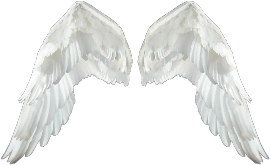 Realistic Angel Wings Transparent Png Realistic Angel Wings Transparent Wing Png