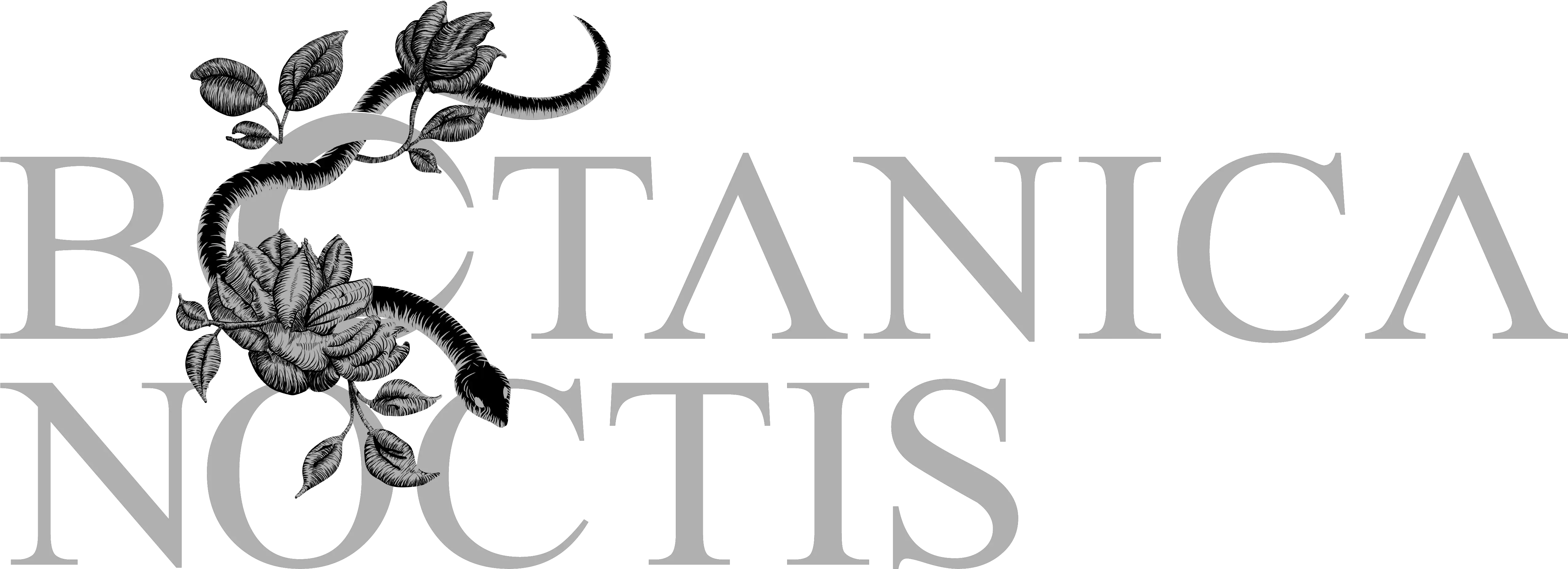 About Botanica Noctis Zeta Tau Alpha Png Noctis Png