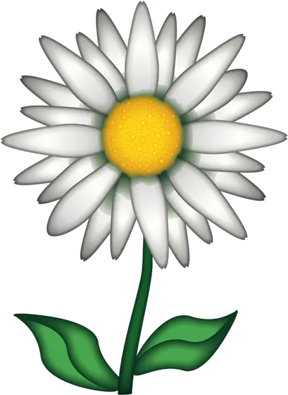 Flower Emoji Png Chamomile Emoji Flower Emoji Png