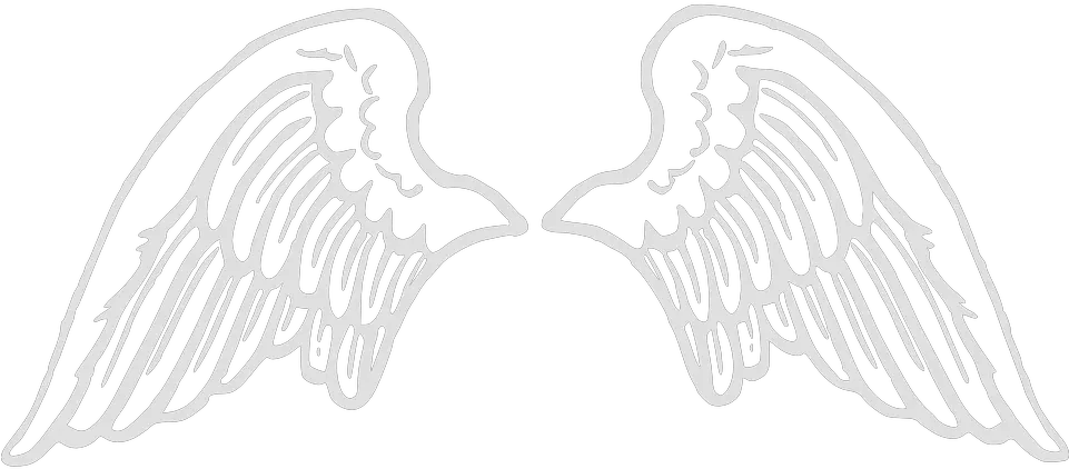 Wings Angel Large Angel Wings Png Drawing Angle Wings Png