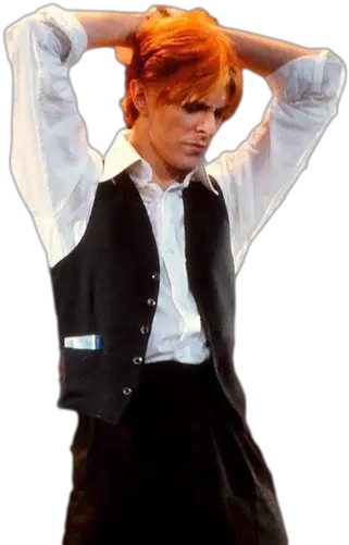 Transparent Background David Bowie Tuxedo Png White Shirt Transparent Background
