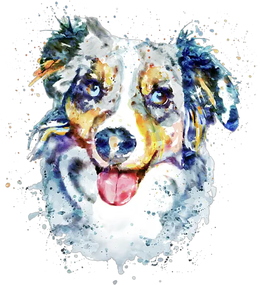 Spiral Notebook For Sale Border Collie Red Merle Watercolor Png Border Collie Png