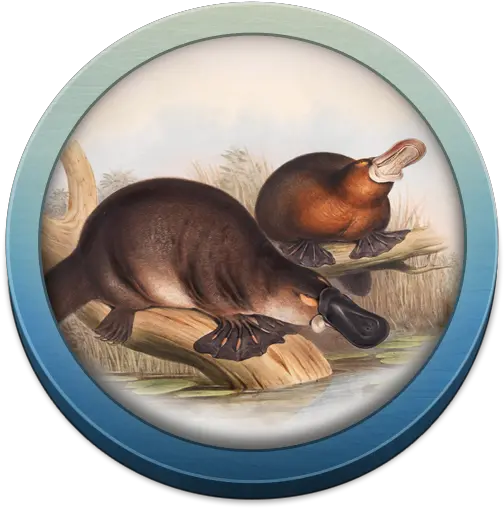 Field Guide To Nsw Fauna U2013 Apps 5e Platypus Png Platypus Icon