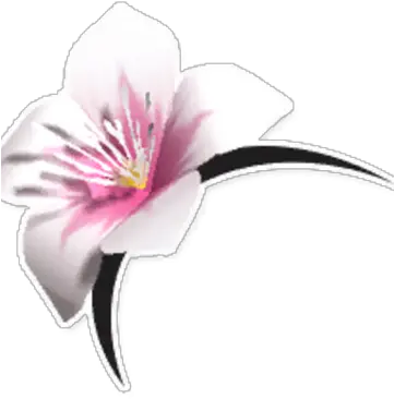 Head Blossom Garden Paws Wiki Fandom Artificial Flower Png Blossom Png