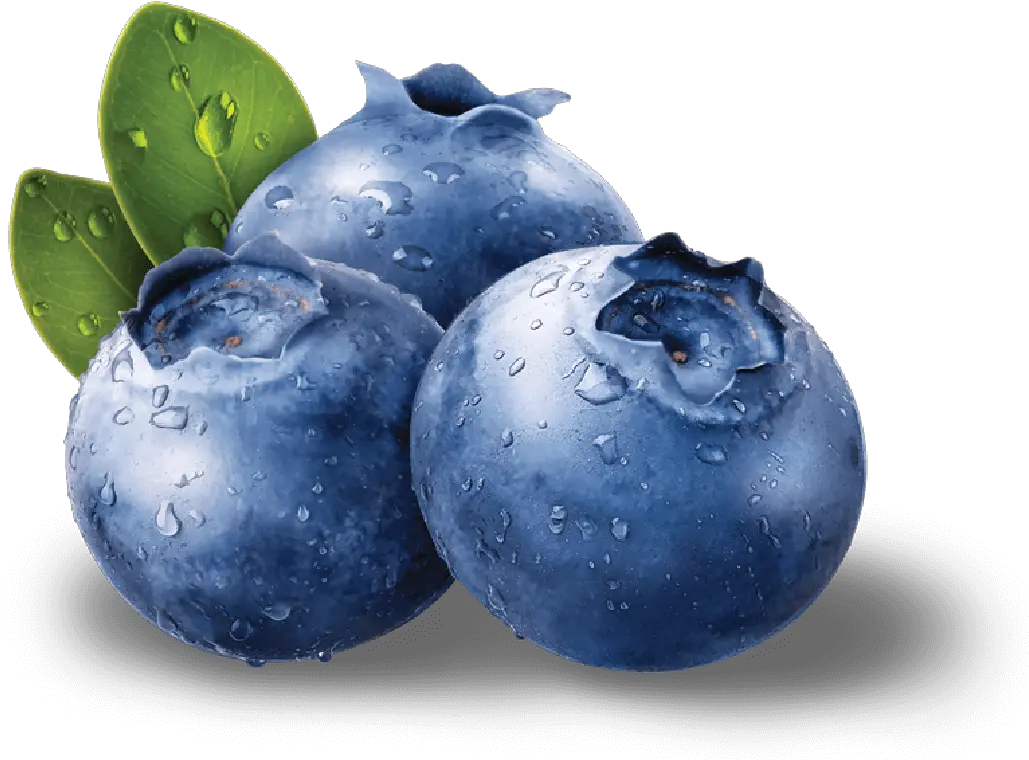 Blue Berries Png Free Blueberries Png Berry Png