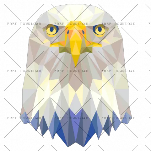 Eagle Hawk Kite Bird Png Image With Transparent Background Owl