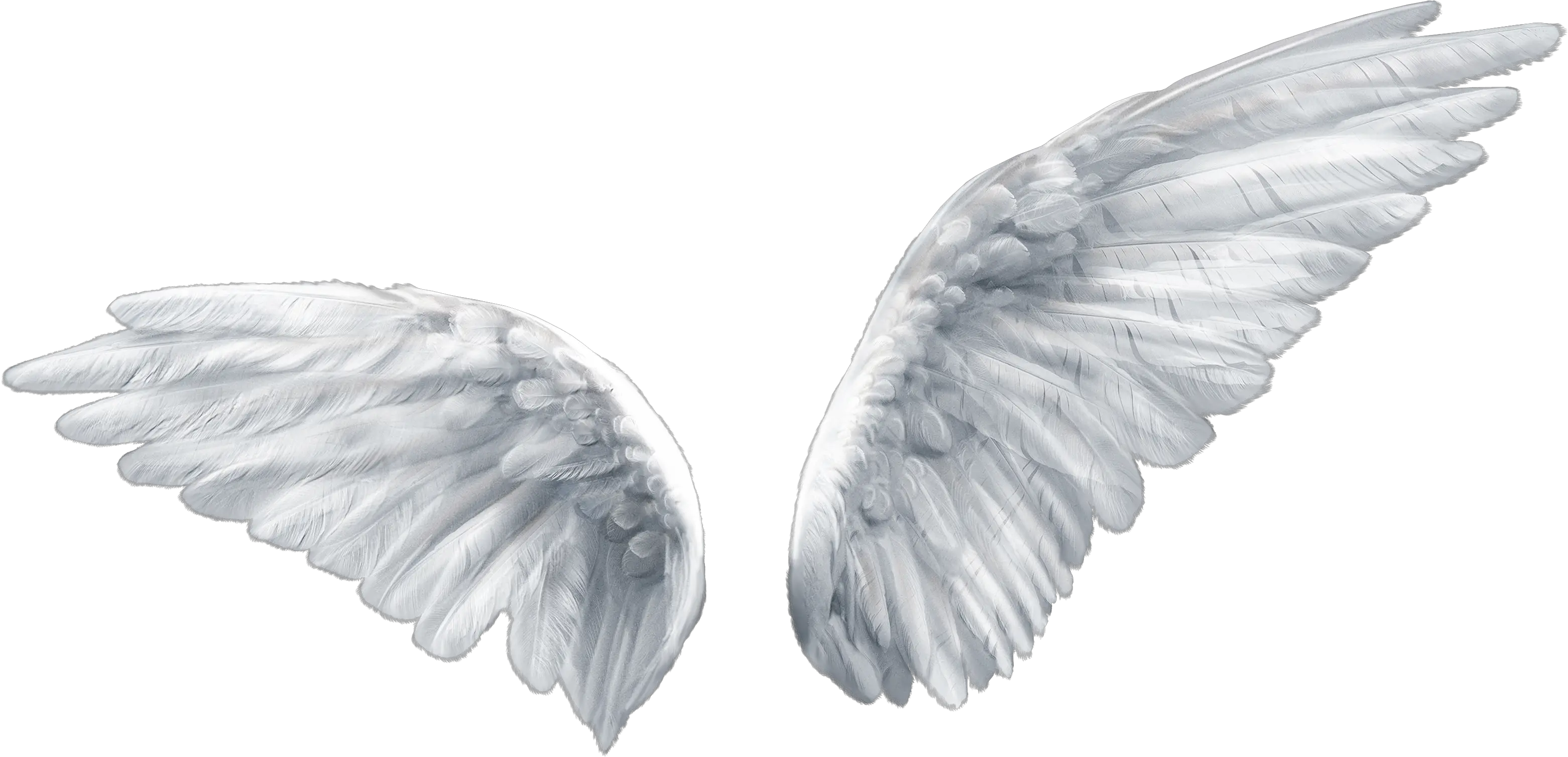 Wing Butterfly Angel Clip Art Transparent Background Angel Wings Png Wing Png