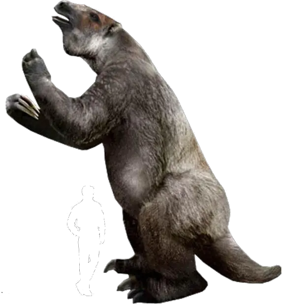 Genus Of Rhino Giant Ground Sloth Transparent Png Sloth Png