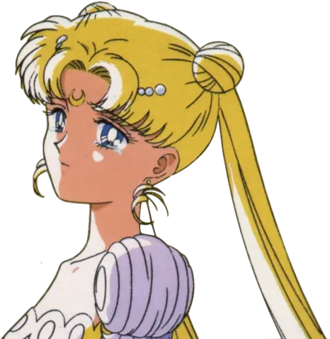 Download Hd Sailor Moon Transparent Serenity Sailor Moon Png Sailor Moon Transparent