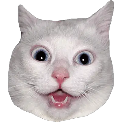 Png Images Cat Head Png Angry Meme Face Png