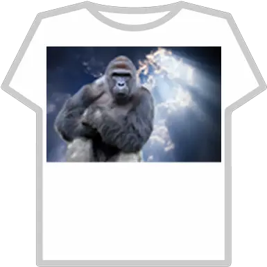 Harambe Roblox Adidas T Shirt Png Harambe Transparent