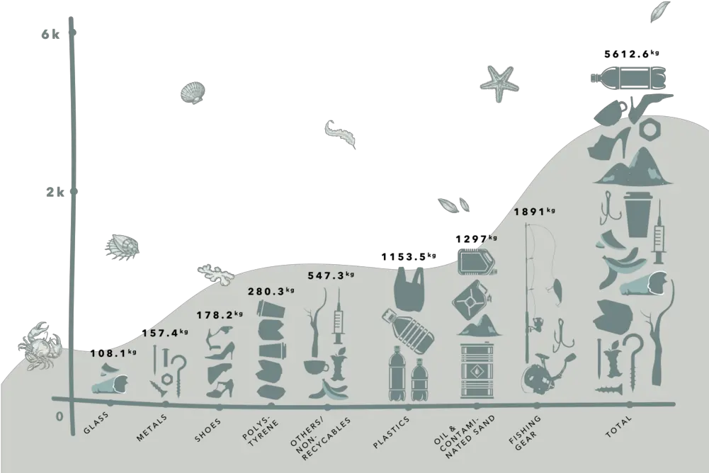 Total Weight In Kilograms Of Debris Removed From Palau Illustration Png Debris Png