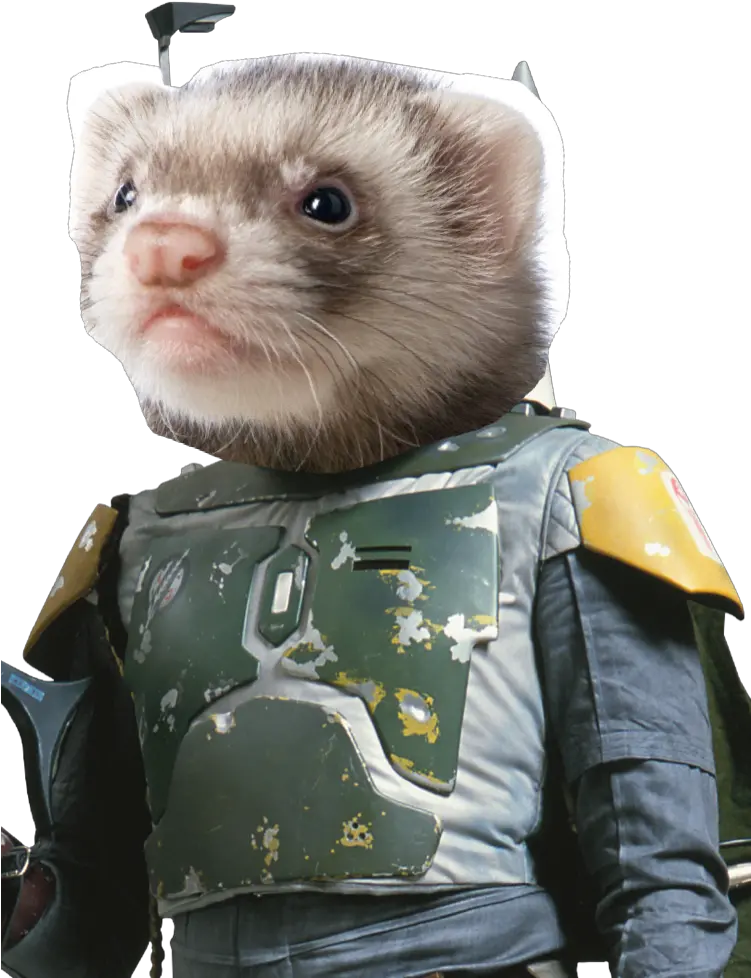 Download Hd Boba Ferret Boba Fett Transparent Png Image Boba Fett Ferret Png