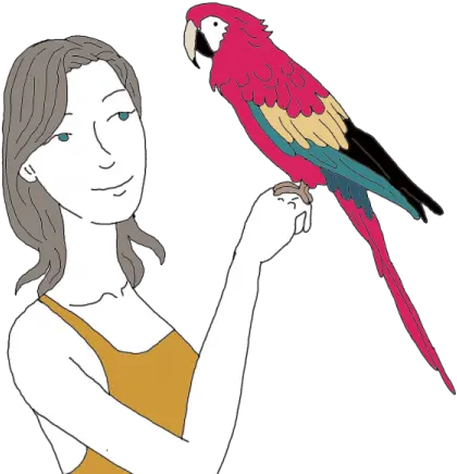 Parrot Dream Meaning Interpret Now Auntyflocom Parrot Symbolism Png Parrot Transparent